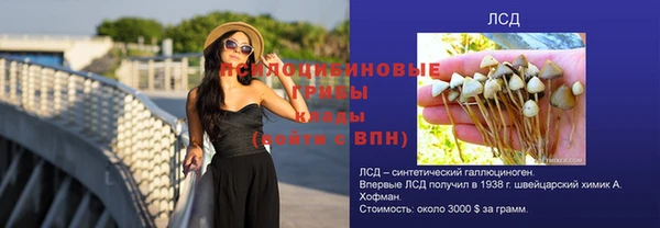 ГАЛЛЮЦИНОГЕННЫЕ ГРИБЫ Балахна