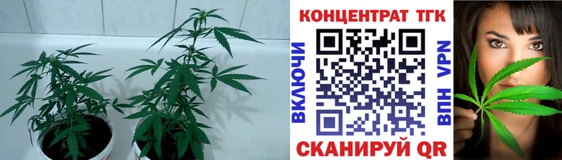 ТГК Wax  Онега 